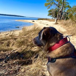 Goose Creek Park