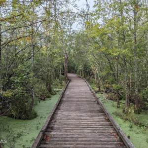 Goose Creek State Park