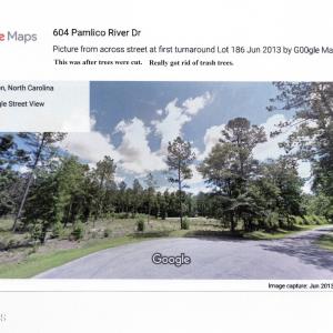 Google Picture of Lot 186