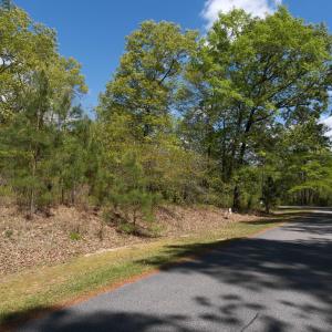 Road Front