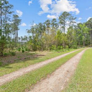 14-web-or-mls-DSC_0052