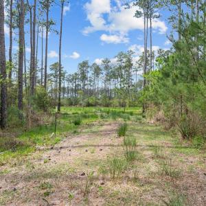 15-web-or-mls-DSC_0053