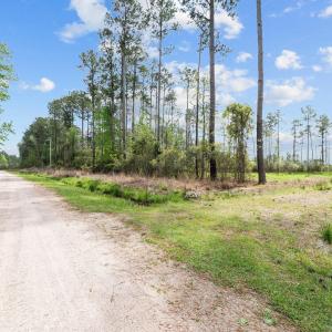 13-web-or-mls-DSC_0048