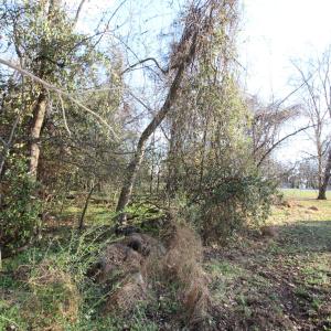 920 lot 8