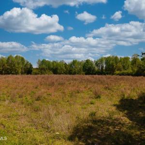 DJI_0105