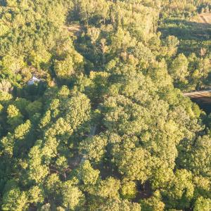 008_dji_0020-edit