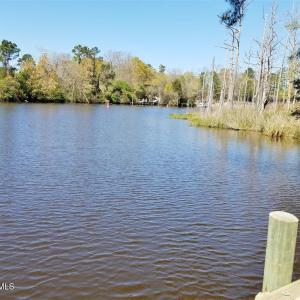 Alligator Creek