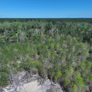 DJI_20250410162147_0552_D