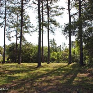 Homesite on Castlebrook