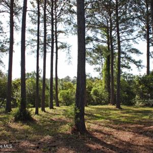 Wooded Castlebrook Homesite