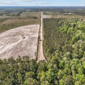 Farm and timber land