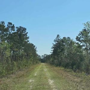 Solid road systems in place