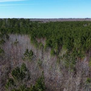 DJI_0484-scaled
