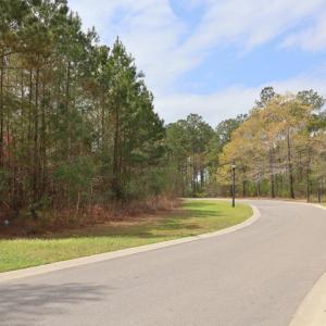 0d24d71d-ce4c-434f-969a-c21acd2e6e02