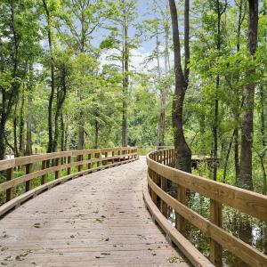 BluffsontheCapeFearAmenities-20