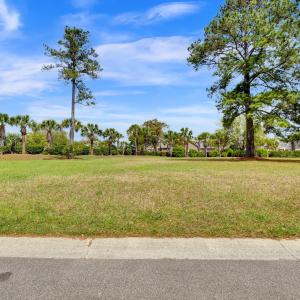 1007 Natural Springs Way