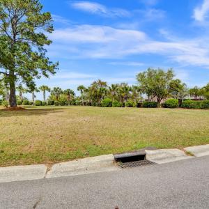 1007 Natural Springs Way