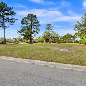 1007 Natural Springs Way