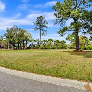 1007 Natural Springs Way