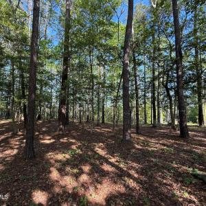 Screenshot 2025-04-18 at 12.04.36 PM