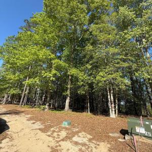 Screenshot 2025-04-18 at 12.09.39 PM