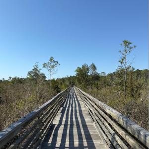 Screenshot 2025-04-18 at 12.11.31 PM