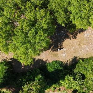 DJI_20250416161008_0028_D