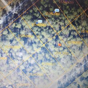 Arial pic - Lot 208 Pepperhill Dr. BSL
