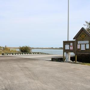 IMG_0251