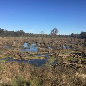 16) 56170-6808e8371d3b8