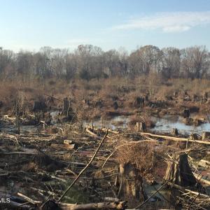 18) 56170-6808e83757999