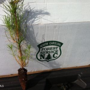 12) 56170-6804d10dd80f2