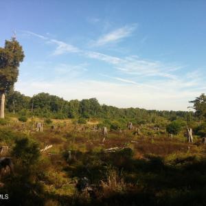 11) 56170-6804d10d8dffa