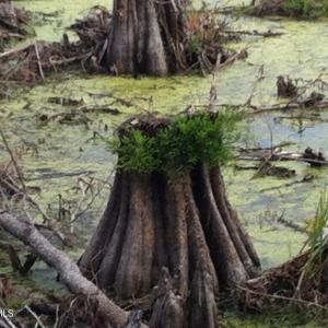 13) 56170-6804d10dd5c93