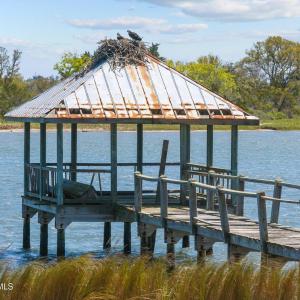 34-web-or-mls-DJI_20250409115014_0147_D