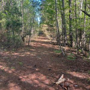 637097C4-B89D-4FCD-86AF-F436E2000A5C