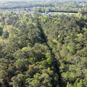 76C61E3A-7D11-4222-94F8-A984FDA18E5C