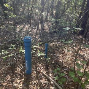 7D55FC62-66AA-4BF9-824B-B8AB8C899A8D