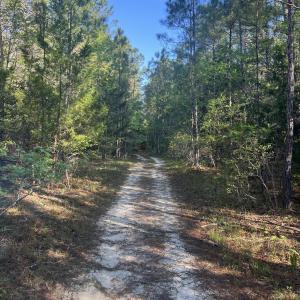 2C766220-8F99-4833-B135-FCB07F248D94