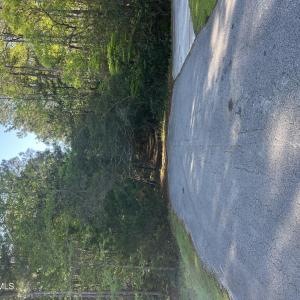 Wood Creek Dr
