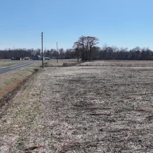 DJI_20250223123819_0542_D