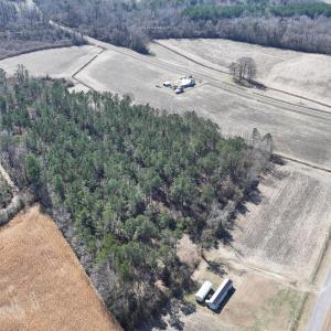 DJI_20250223123500_0536_D