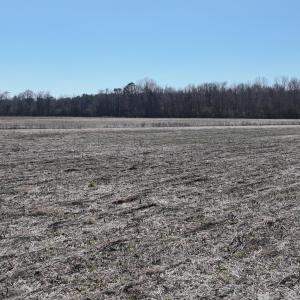 DJI_20250223123816_0541_D