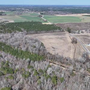 DJI_20250223123036_0528_D