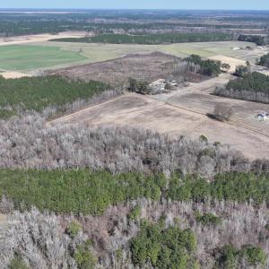 DJI_20250223123102_0529_D