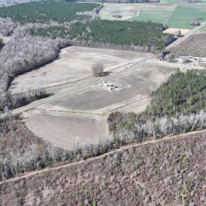 DJI_20250223123553_0537_D