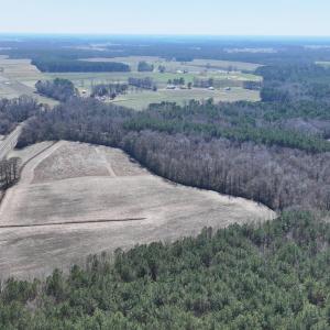 DJI_20250223123248_0532_D