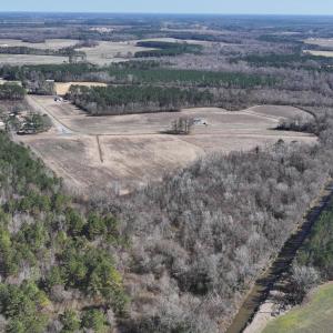 DJI_20250223123140_0530_D