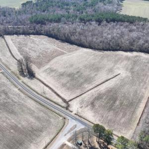 DJI_20250223122741_0523_D