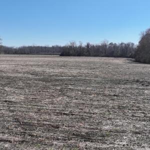 DJI_20250223123851_0543_D